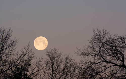 YIN & YULE nachten beleving