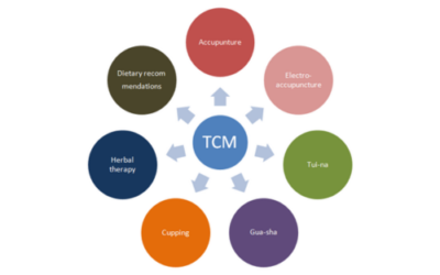 TCM Therapy