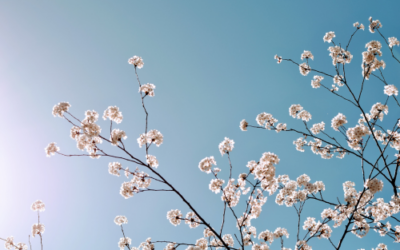 April, de maand van vernieuwing