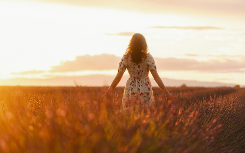 Emoties schuld en schaamte Emoties schuld en schaamte